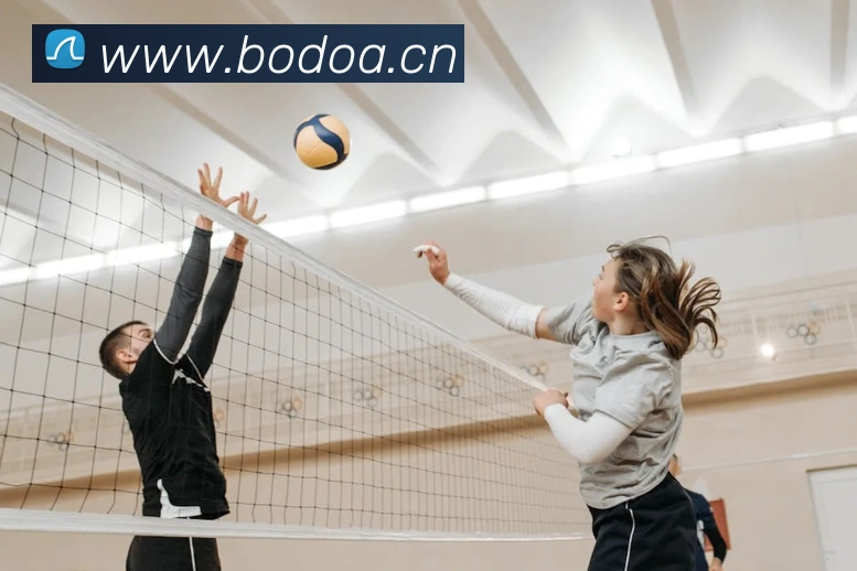 ayx官方网页APP 封面图